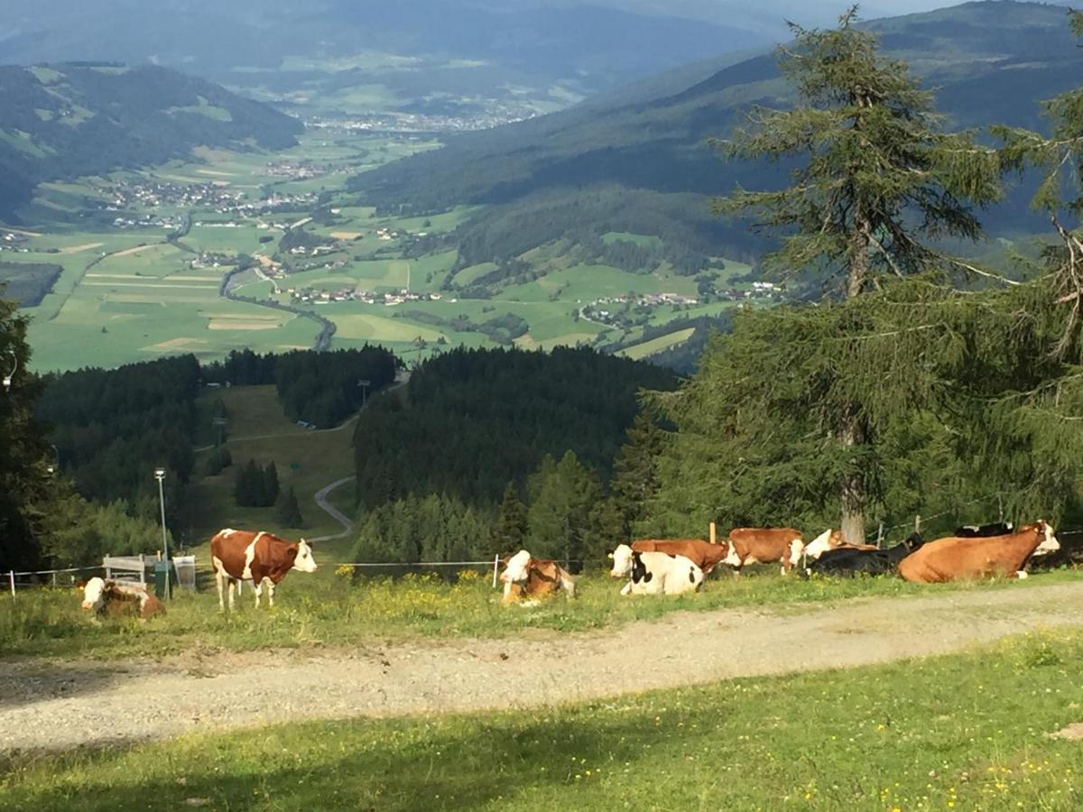 Landhaus Lungau Sankt Michael im Lungau Exteriör bild
